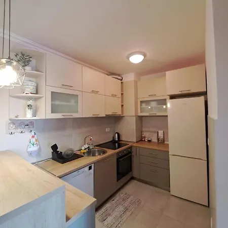 Vucetic Apartment- * Podgorica